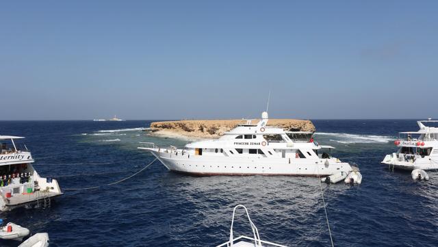 Maldives Liveaboards Explained: Dive Safaris and Surf Charters