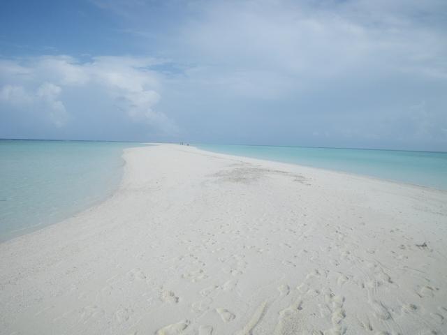 A Day on a Picnic Island